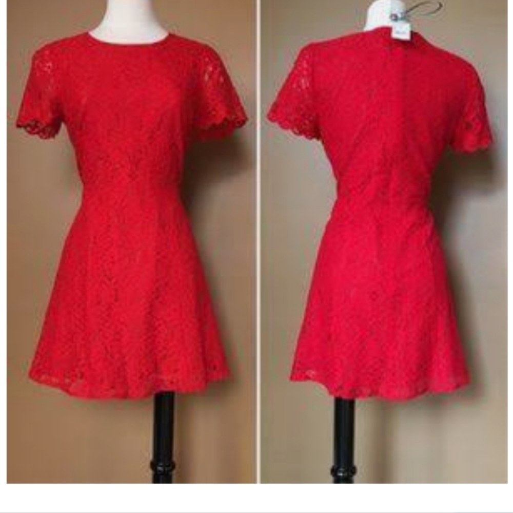 J. Crew Fit & Flare Red Lace Cocktail Dress NWOT - Picture 2 of 4